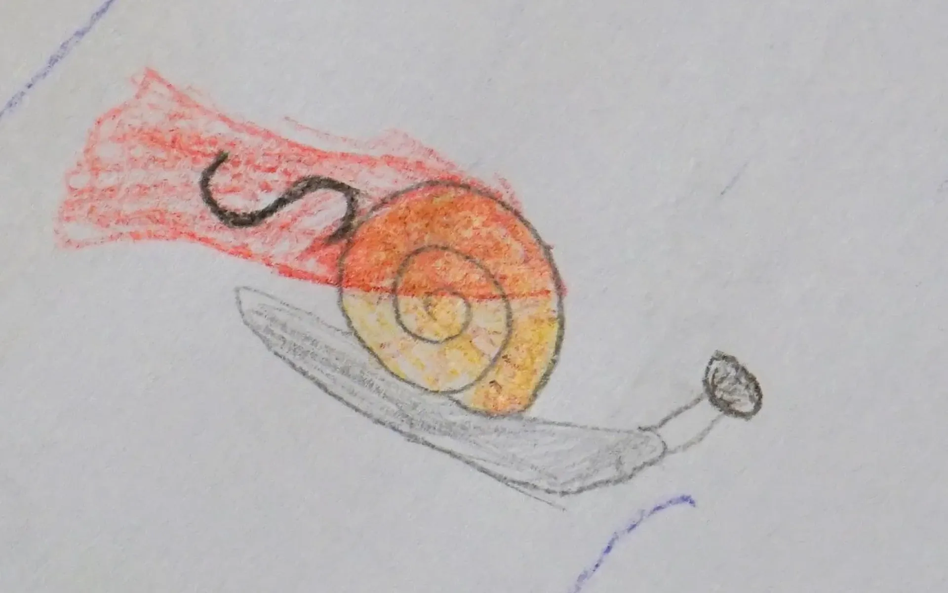 Rennschnecke